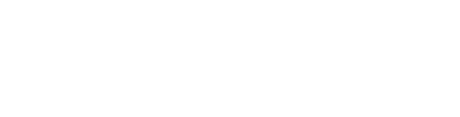 Network & IT Support